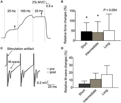 Intramuscular Contributions to Low-Frequency Force Potentiation Induced by a High-Frequency Conditioning Stimulation